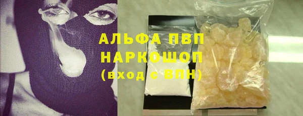 индика Баксан