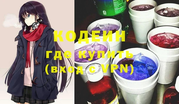 индика Баксан