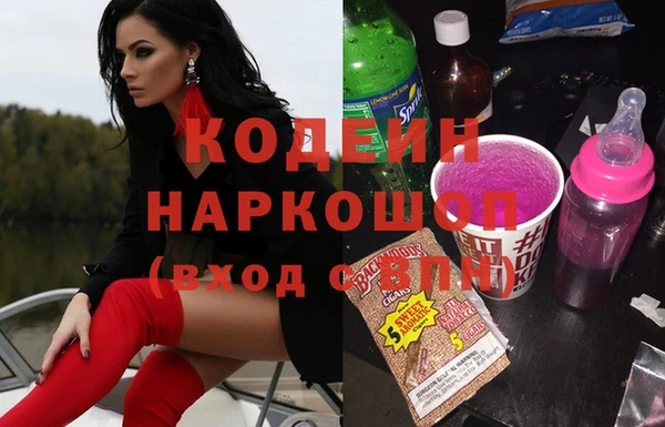 индика Баксан