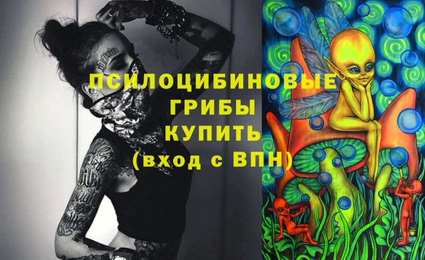 бошки Балахна